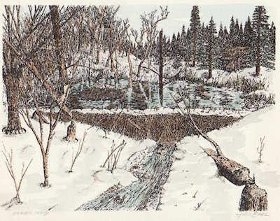 Pen and Ink Drawings for Winter